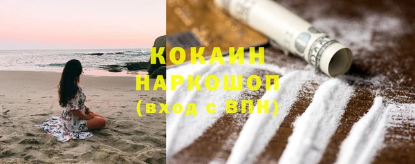 прущие грибы Дмитров
