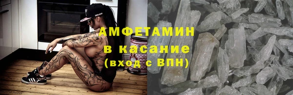 прущие грибы Дмитров