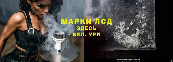 прущие грибы Дмитров