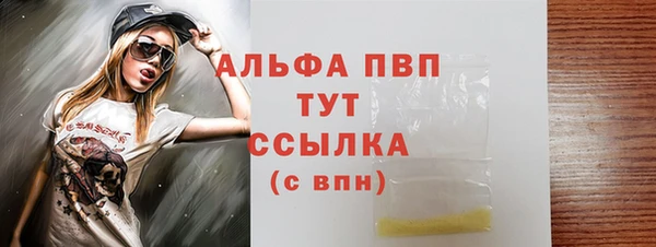 прущие грибы Дмитровск