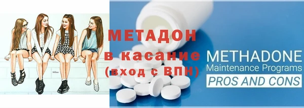 прущие грибы Дмитров