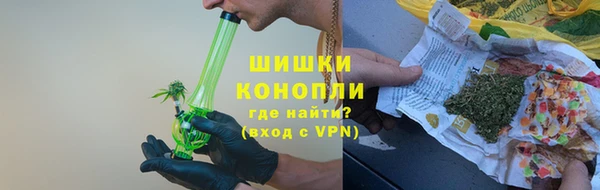 прущие грибы Дмитровск