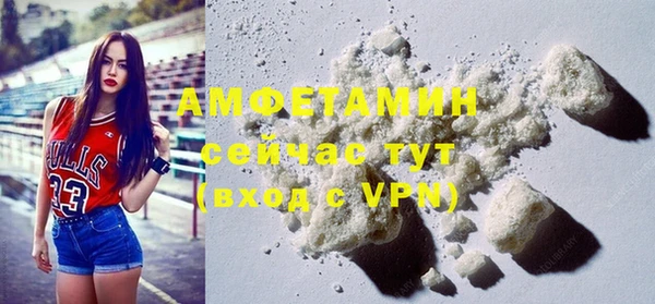 прущие грибы Дмитровск