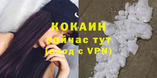 прущие грибы Дмитровск