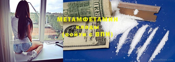 прущие грибы Дмитров