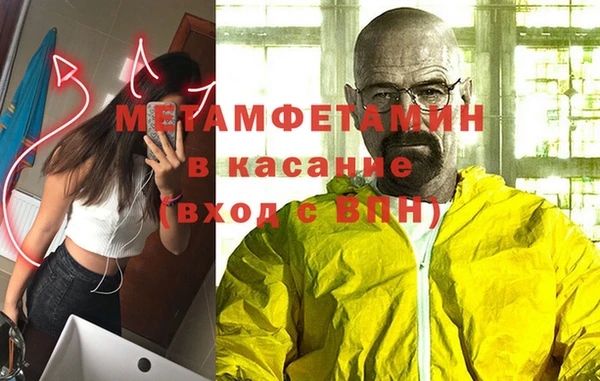 прущие грибы Дмитровск