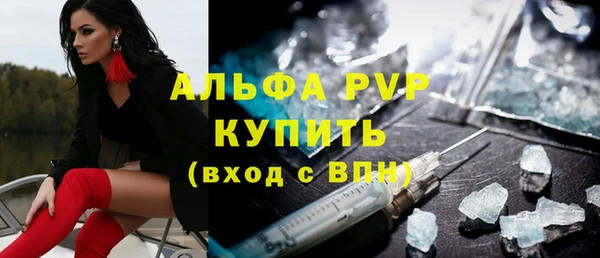прущие грибы Дмитров