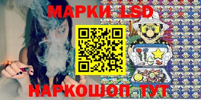 эйфоретик Берёзовский