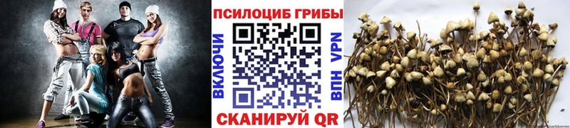 купить  цена  Дзержинский  Галлюциногенные грибы Magic Shrooms 
