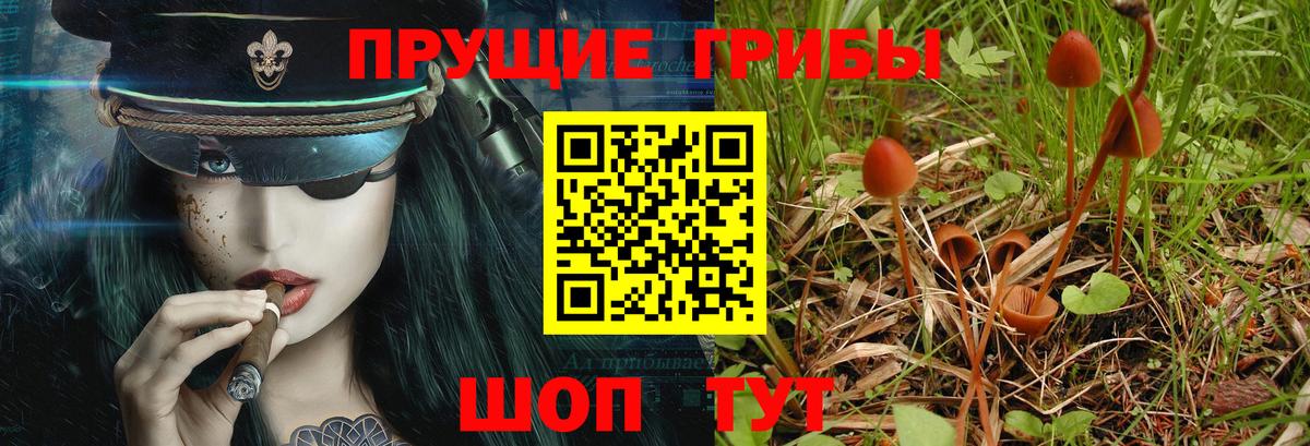 Галлюциногенные грибы прущие грибы  Вход с VPN  Дзержинский 