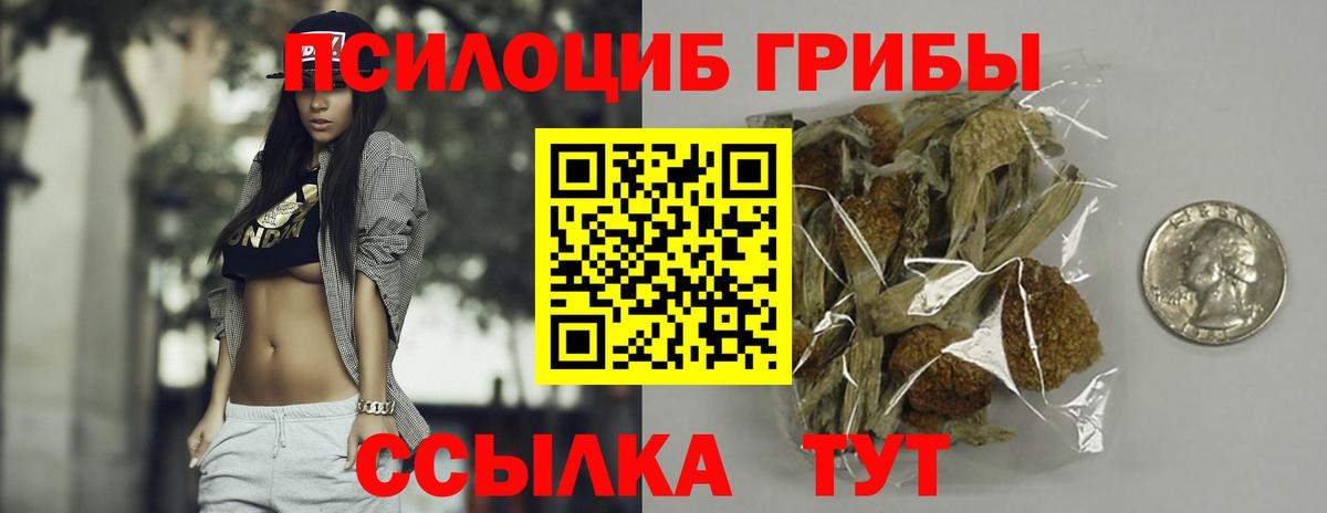 Псилоцибиновые грибы MAGIC MUSHROOMS  Галлюциногенные грибы Magic Shrooms  где купить   Дзержинский 