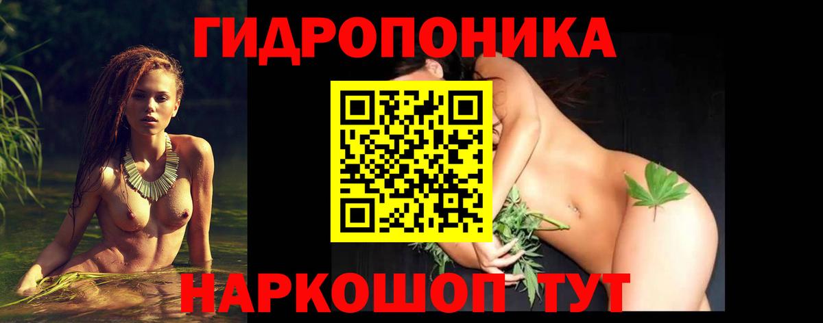 Каннабис OG Kush Дзержинский